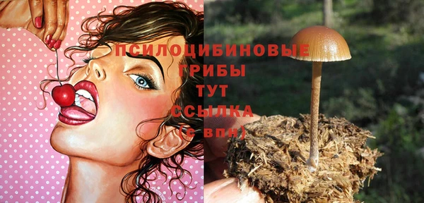 трава Ладушкин