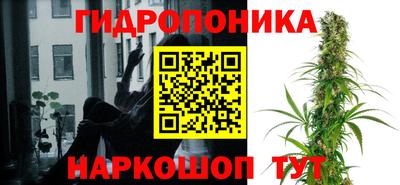 молекула духа Рязань
